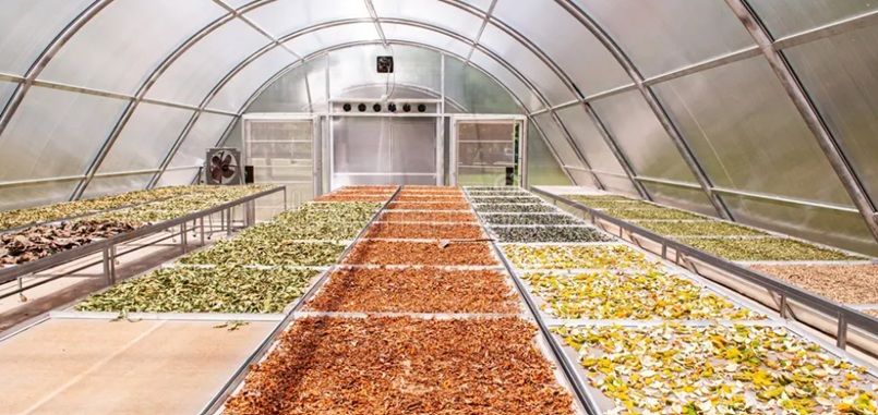 Solar dried produce